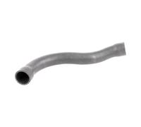VAICO V20-1750 Radiator hose