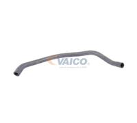 VAICO V20-1782 Radiator hose