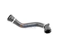 VAICO V20-2164 Radiator hose