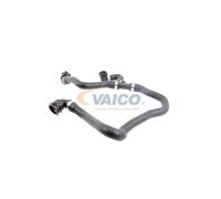 VAICO V20-2690 Radiator hose