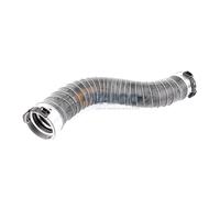 VAICO V20-2966 Charger intake hose