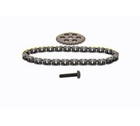 VAICO V20-4073 Oil pump chain kit