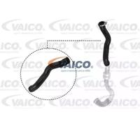 VAICO V21-0025 Charger intake hose