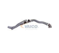 VAICO V22-0369 Radiator hose