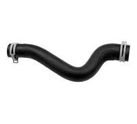 VAICO V22-0742 Radiator hose