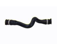 VAICO V22-1175 Radiator hose