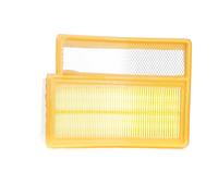 VAICO V24-0304 Air filter