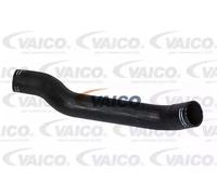 VAICO V24-0682 Charger intake hose