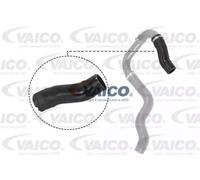 VAICO V24-0732 Charger intake hose