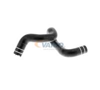 VAICO V24-0806 Radiator hose