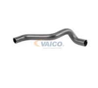 VAICO V24-0868 Radiator hose