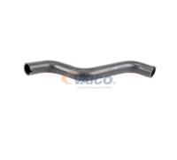 VAICO V24-0874 Radiator hose
