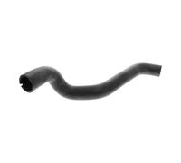 VAICO Radiator Hose V24-1075