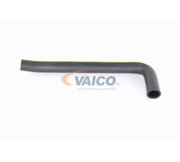 VAICO V24-1172 Radiator hose
