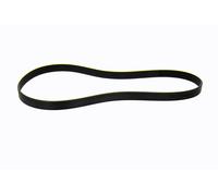 VAICO V24-1209 Serpentine belt