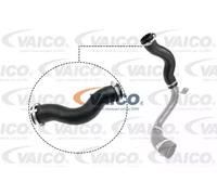 VAICO V25-1030 Charger intake hose