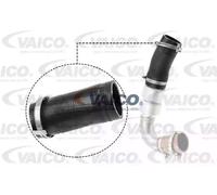 Air duct pipe Rubber with fabric lining V25-1036 VAICO for FORD MONDEO IV S-MAX