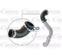 VAICO V25-1050 Charger intake hose