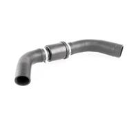 VAICO V25-1126 Radiator hose