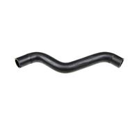 VAICO V25-1983 Radiator hose
