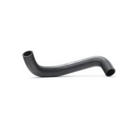 VAICO V30-0252 Radiator hose