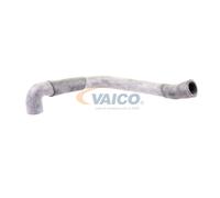 VAICO V30-1621 Radiator hose