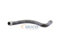 VAICO V30-1655 Radiator hose