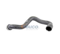 VAICO V30-1662 Radiator hose