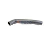 VAICO V30-1968 Radiator hose