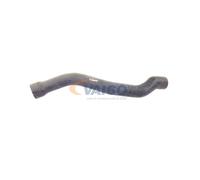 VAICO V30-2221 Radiator hose