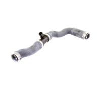 VAICO V30-2222 Radiator hose