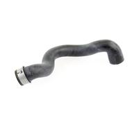 VAICO V30-2223 Radiator hose