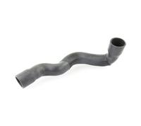 VAICO V30-2249 Charger intake hose