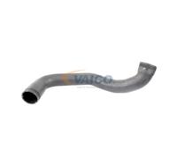 VAICO V30-2450 Charger intake hose