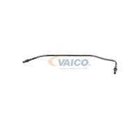 VAICO V30-2475 Radiator hose