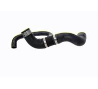 VAICO V30-2904 Radiator hose