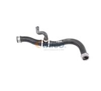 VAICO V30-2906 Radiator hose