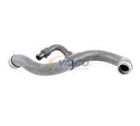 VAICO V30-2968 Radiator hose