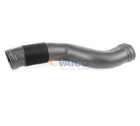VAICO V30-2976 Charger intake hose