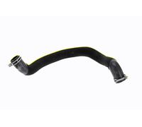 VAICO V30-4862 Radiator hose