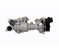 VAICO V30-50113 Water pump