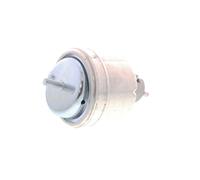 VAICO V40-0357 Engine mount