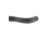 VAICO V40-1334 Radiator hose