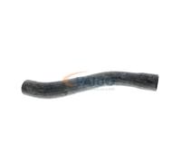 VAICO V40-1337 Radiator hose