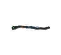 VAICO V40-1352 Radiator hose