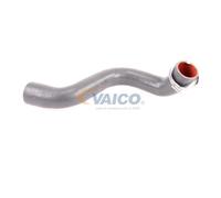 VAICO Charge Air Hose for RENAULT SCENIC II JM0 1 2005-05 to 2008-11