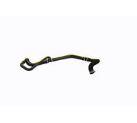 VAICO V46-1974 Radiator hose