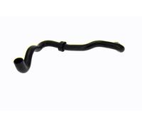 VAICO V46-1977 Radiator hose