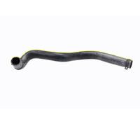 VAICO V48-0699 Radiator hose