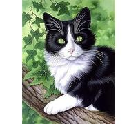 VAIIEYO 5D Diamond Painting Cat, Paint with Diamonds Art Kitten Animal, Paint by Numbers Full Drill Round Rhinestone Craft Canvas for Home Wall Decor 30x40 cm